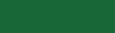 Representation of the colour called Mistletoe (dark green)