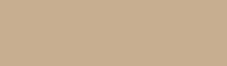 Representation of the colour called Stone Beige (very light chocolate)
