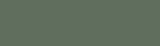Representation of the colour called Colorbond Wilderness (grey/green)